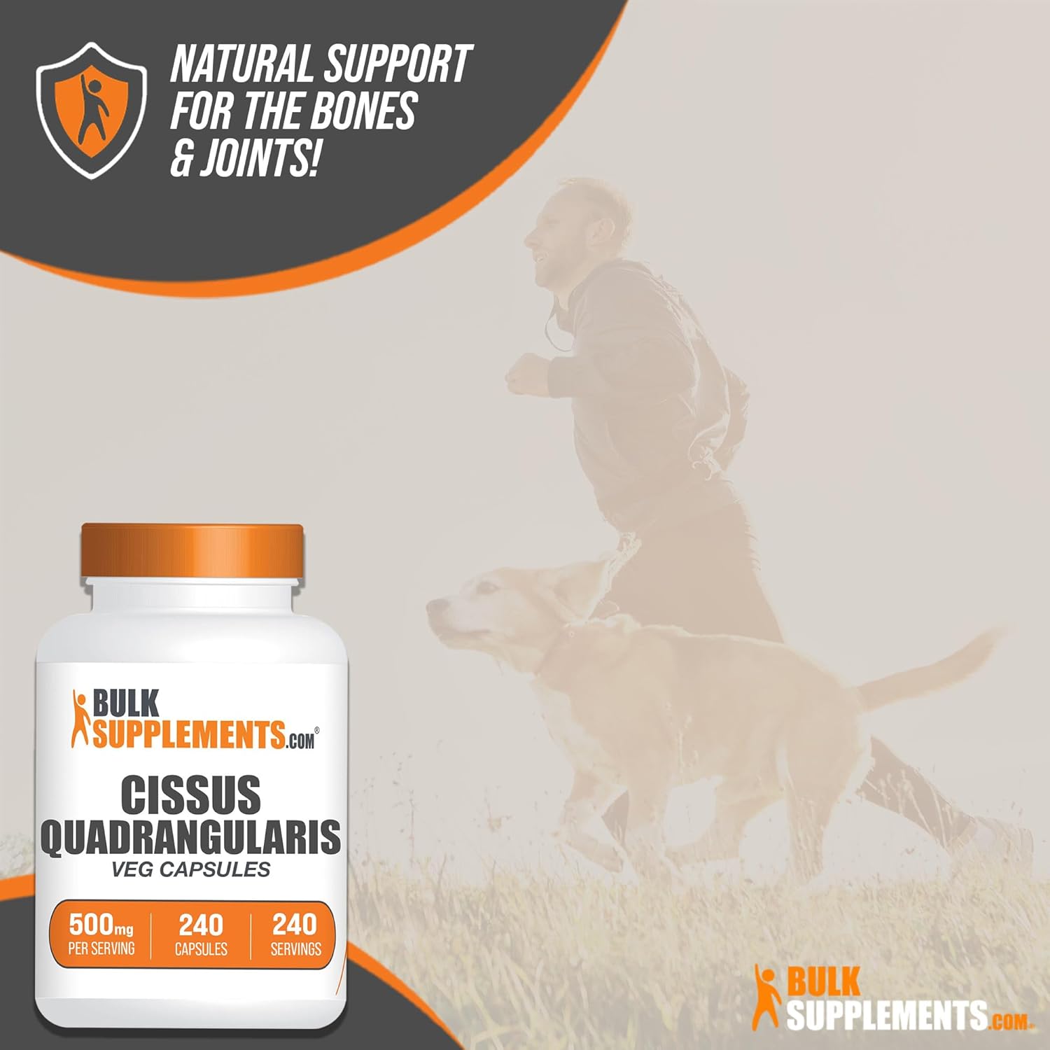 Cissus Quadrangularis Extract Capsules - 240 Vegetarian Capsules, Gluten-Free - BulkSupplements.com