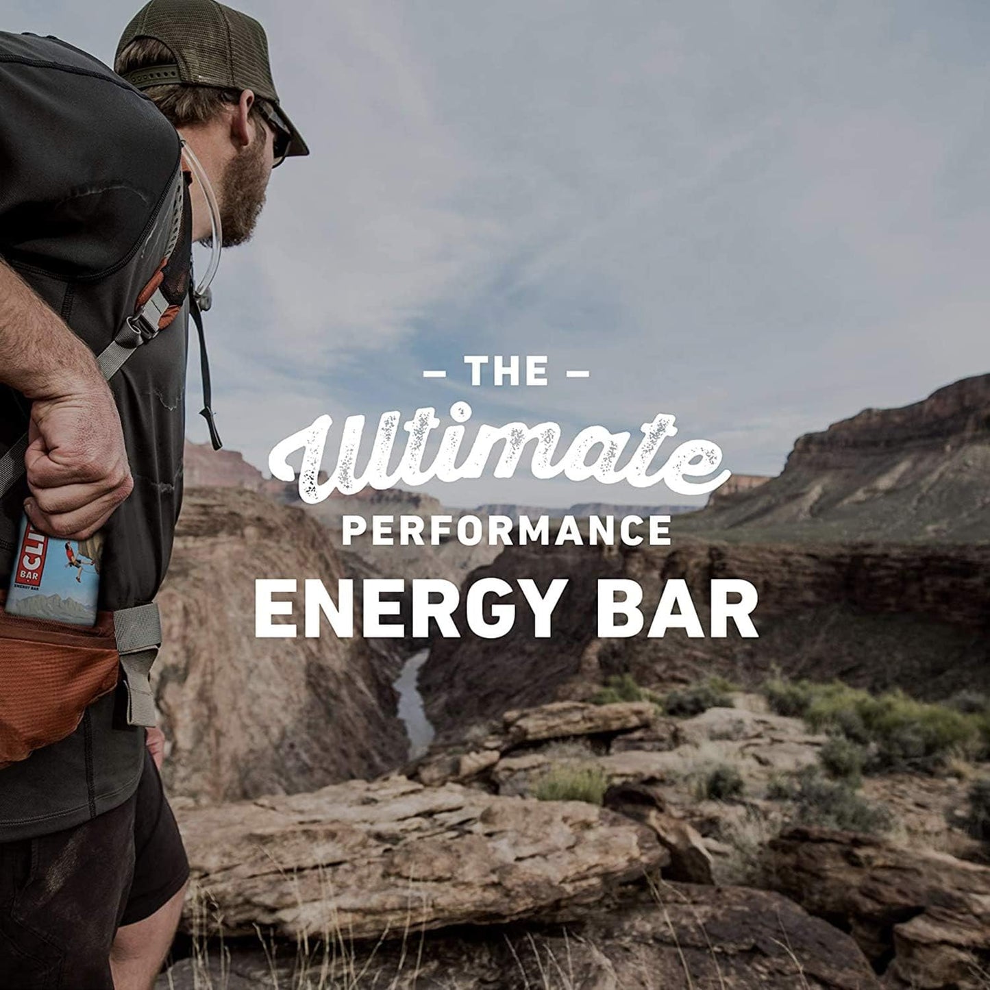 CLIF BARS Energy Bars Chocolate Chip Organic Oats Plant Based Vegetarian Kosher 2.4oz Protein Bars 24 Count, 12 Count Pack of 2