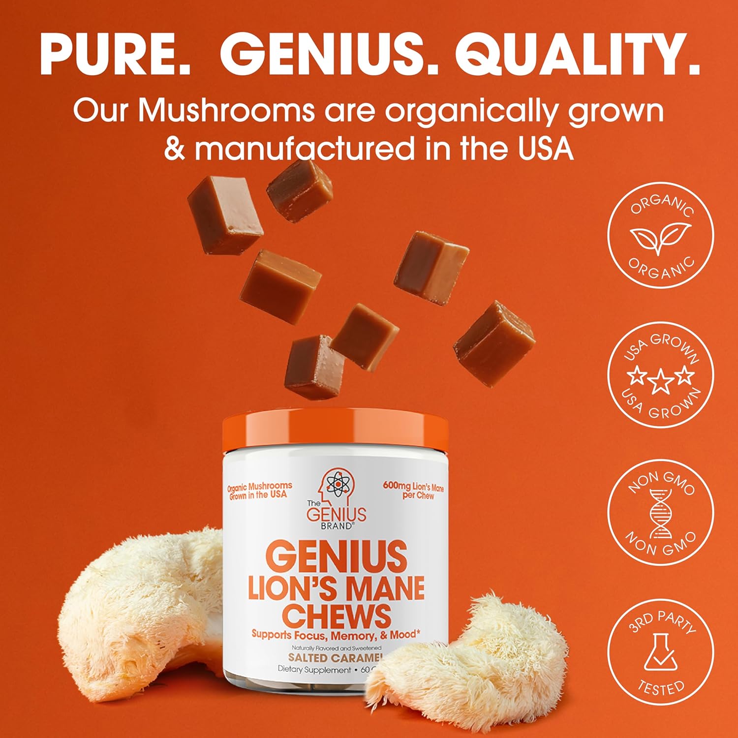 Cognitive Clarity & Digestive Support Bundle - Lion’s Mane Chews & Glucomannan Capsules for Wellness & Weight Management