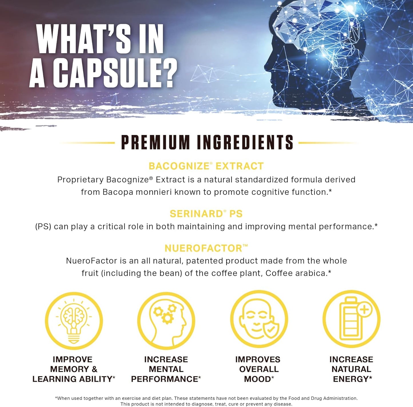Cognitive Enhancer Capsules - Boost Memory, Focus, & Communication | Alpha GPC, Choline, BaCognize | 120 Veggie Capsules
