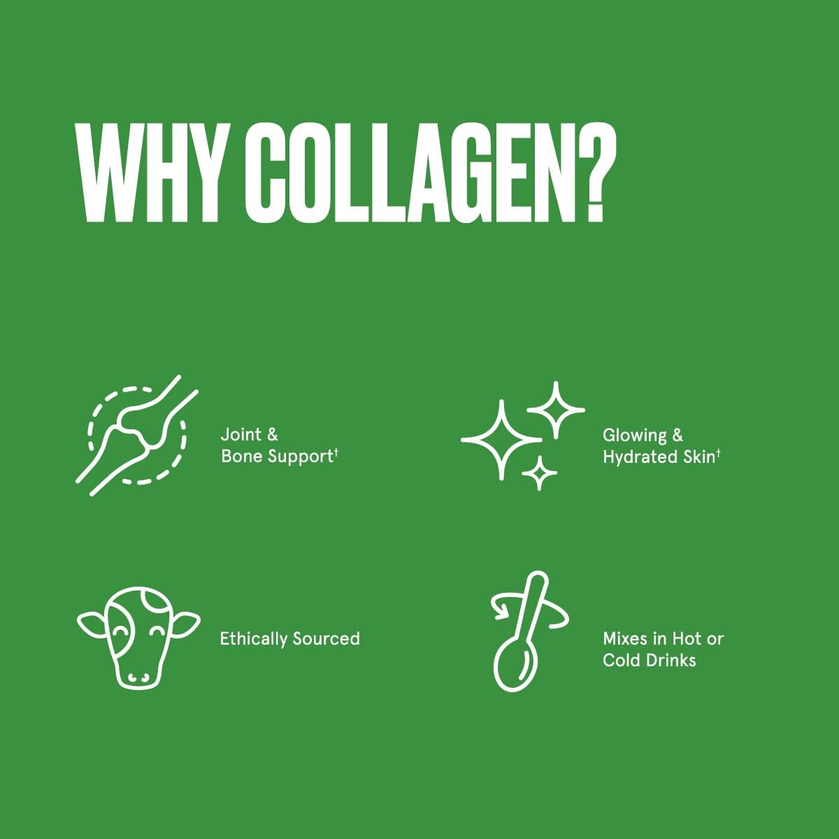 Collagen Peptides Protein Powder & MCT Oil Duo Kit for Skin, Bones, Joints, and Energy Boost - 18g Protein, 17.6 Oz & 14g MCTs, 16 Fl Oz