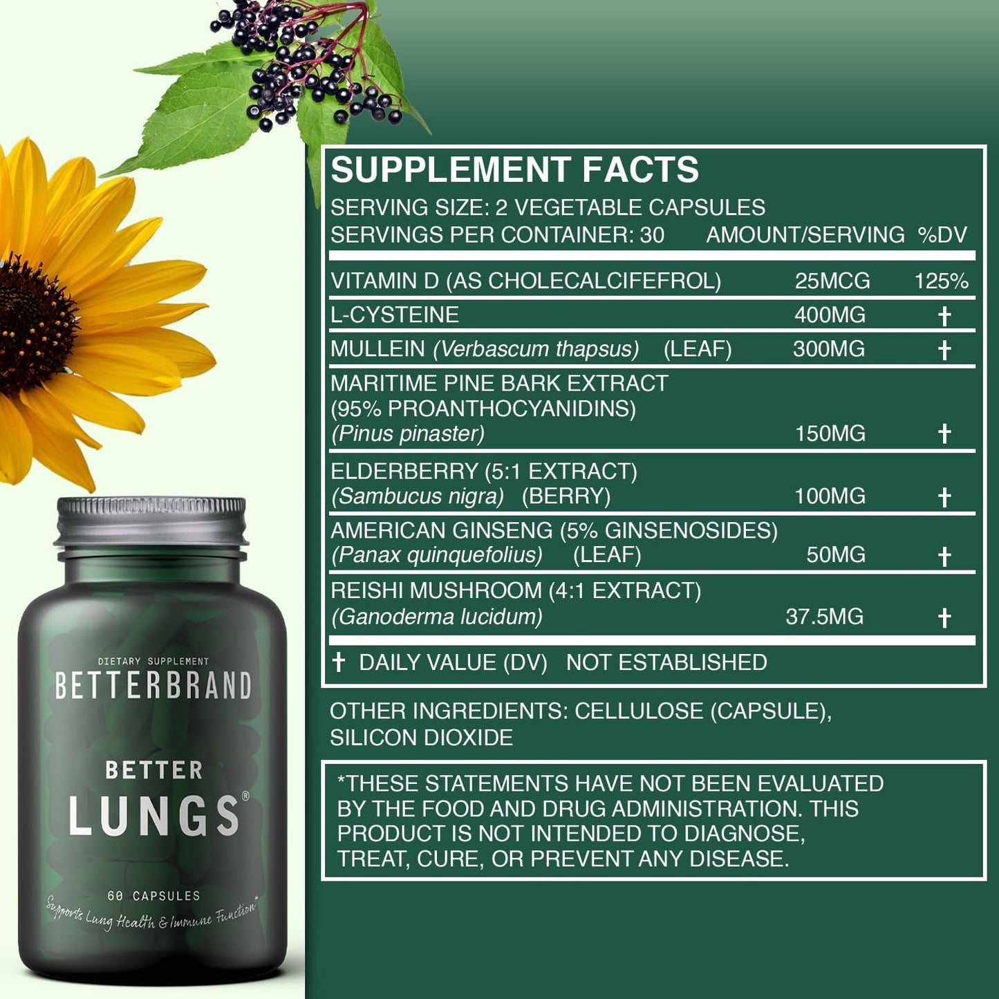 Complete Respiratory Wellness Pack: BetterLungs & Mullein Gummies - 30 Day Supply by Betterbrand