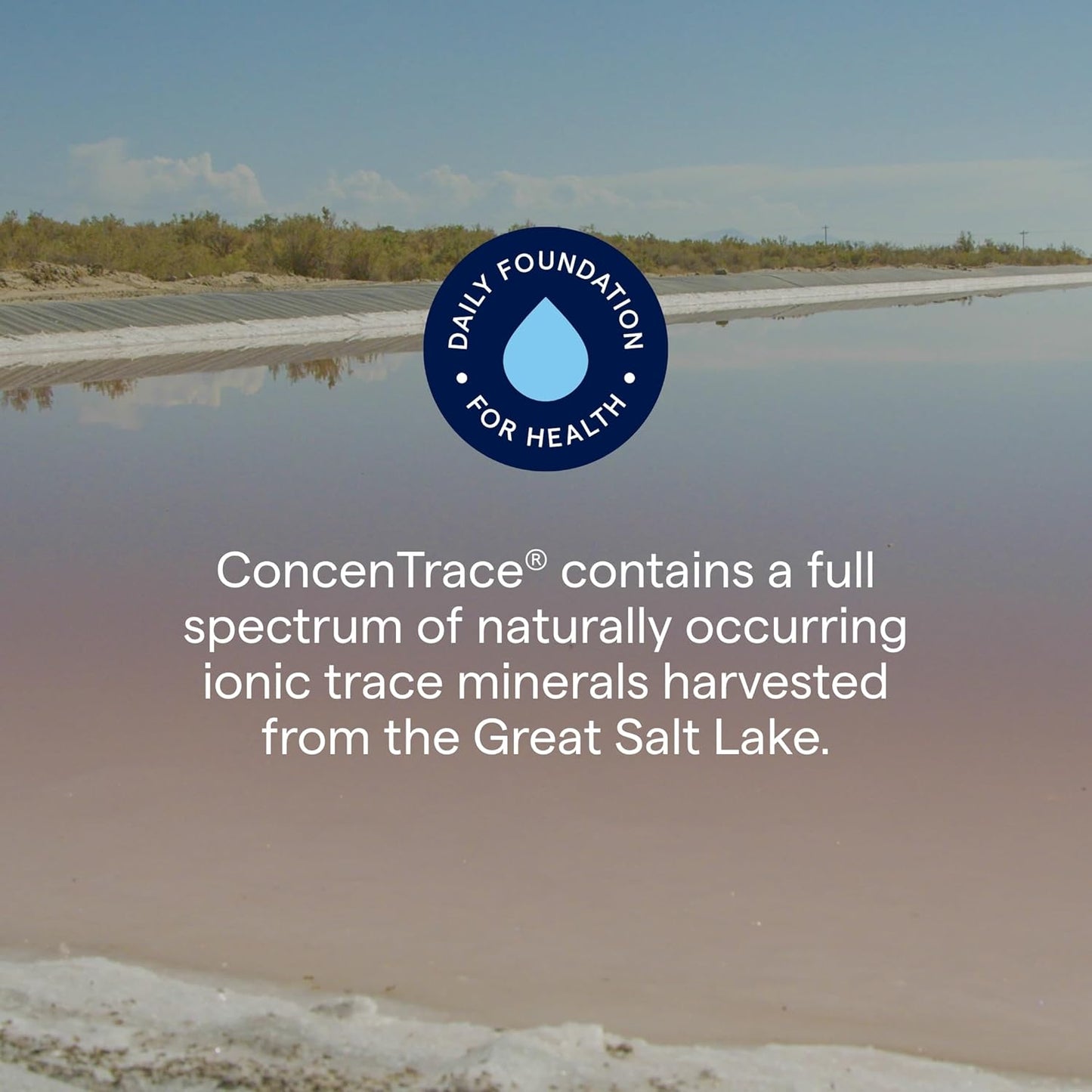 ConcenTrace Trace Mineral Drops - Liquid Bone and Joint Support Supplement - Hydration and Electrolyte Boost - Unflavored - 0.5 fl oz