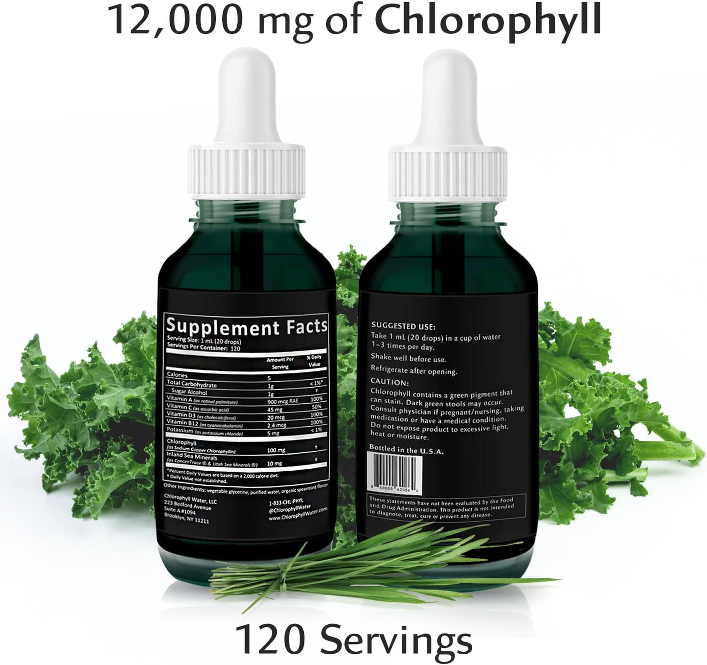 Concentrated Chlorophyll Water Drops with Electrolytes, Sea Minerals, and Antioxidants - 12,000mg Liquid Chlorophyll for Detox, Energy, and Immune Support