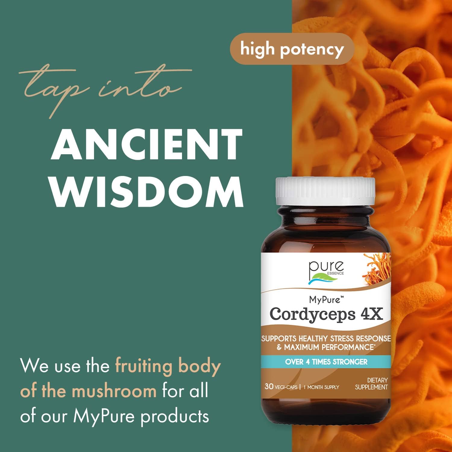 Concentrated Cordyceps Mushroom Powder Supplements for Immune System, Stress Response, Physical & Mental Performance - 1 Month Supply by PURE ESSENCE LABS