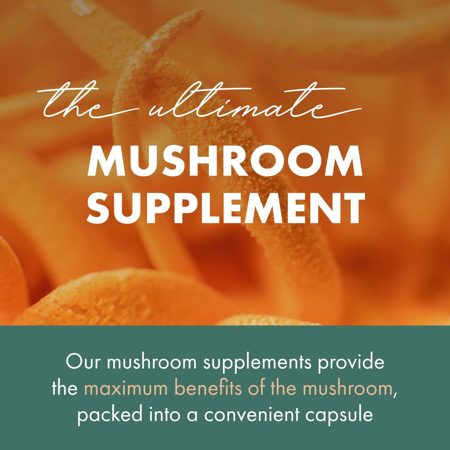 Concentrated Cordyceps Mushroom Powder Supplements for Immune System, Stress Response, Physical & Mental Performance - 1 Month Supply by PURE ESSENCE LABS