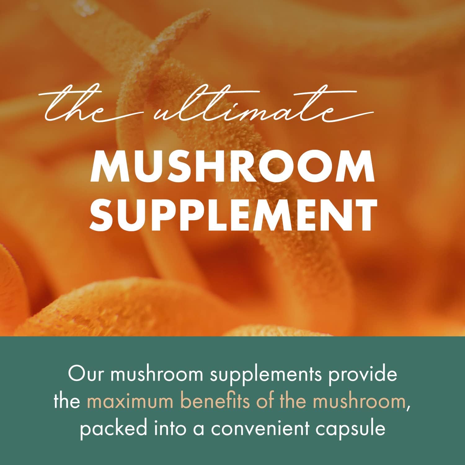 Concentrated Cordyceps Mushroom Powder Supplements for Immune System, Stress Response, Physical & Mental Performance - 1 Month Supply by PURE ESSENCE LABS