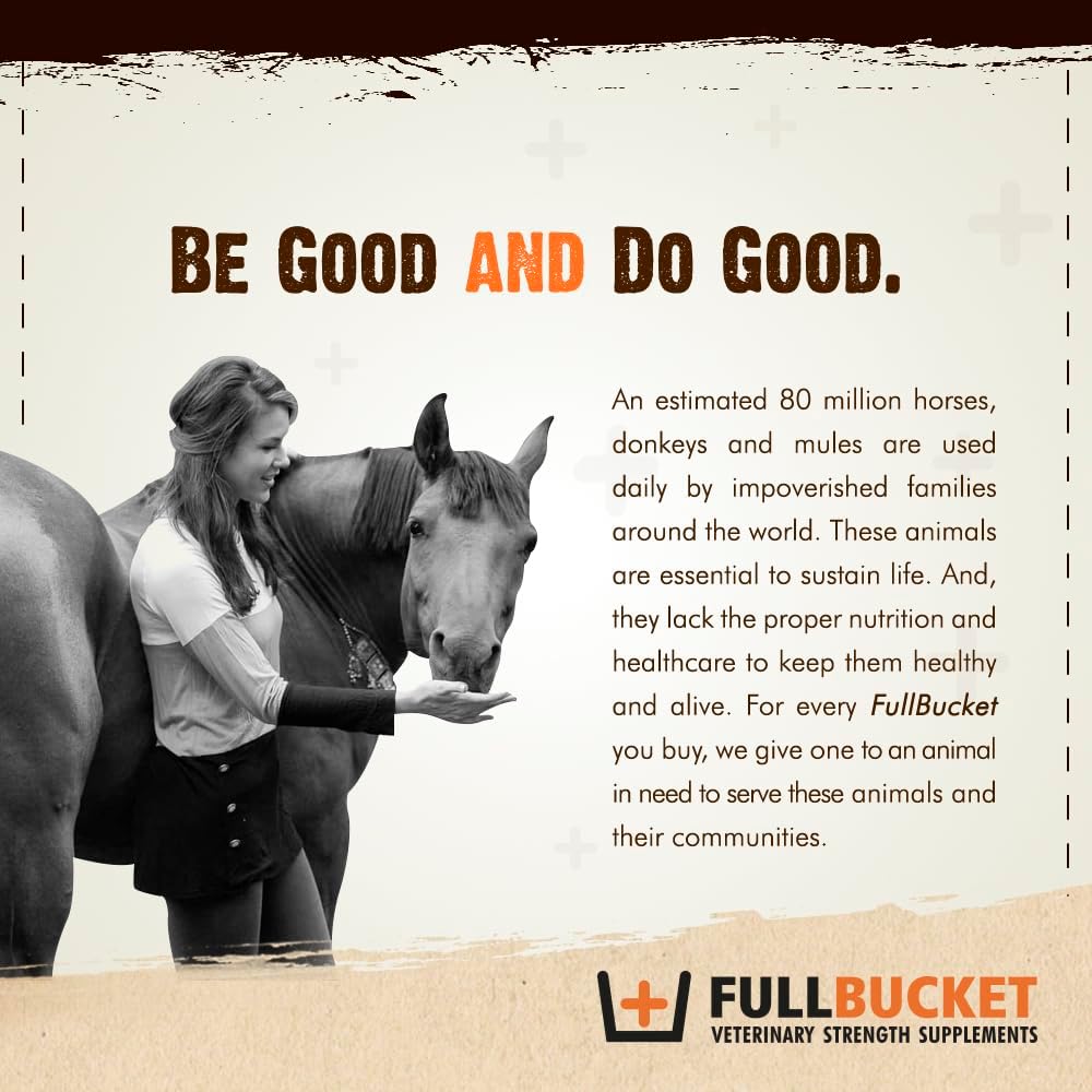 Concentrated Equine Probiotic Pellets with Saccharomyces boulardii for Stressed or Digestive Issue Horses - 30 Servings - BoostGo Australia