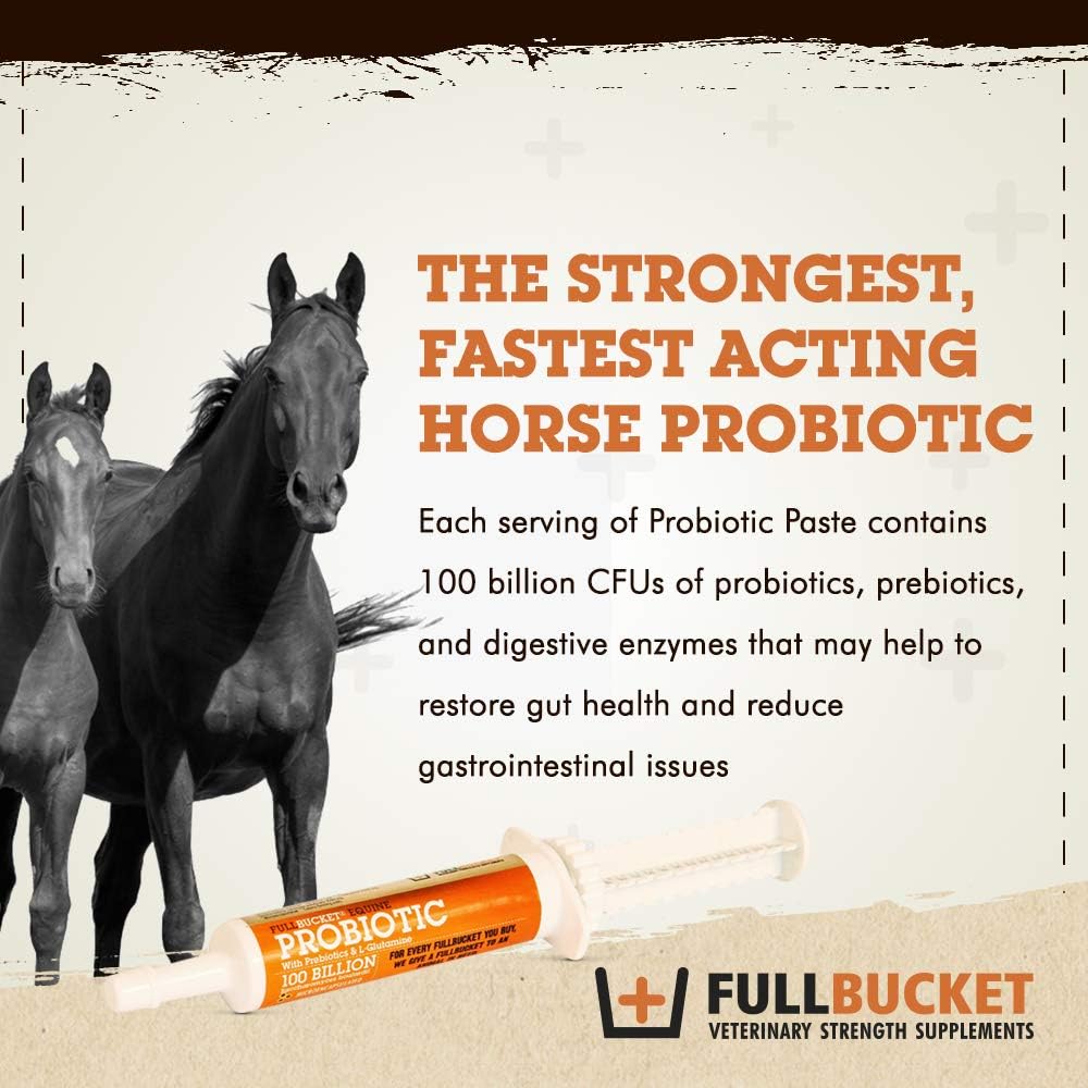 Concentrated FullBucket Equine Probiotic Paste 10-Pack with 100 Billion CFUs for Daily Digestive Optimization