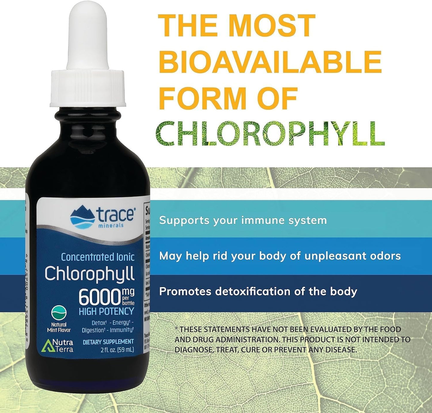 Concentrated Ionic Chlorophyll Trace Minerals Supplement - Supports Natural Cleanse, Digestive Health, Immune System - Mint Flavor, 2 fl oz (120 Servings)