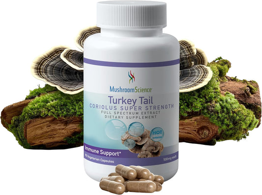 Coriolus Super Strength Turkey Tail Mushroom Capsules - Natural Health Support Supplement for Adults - 500MG, 90 CT
