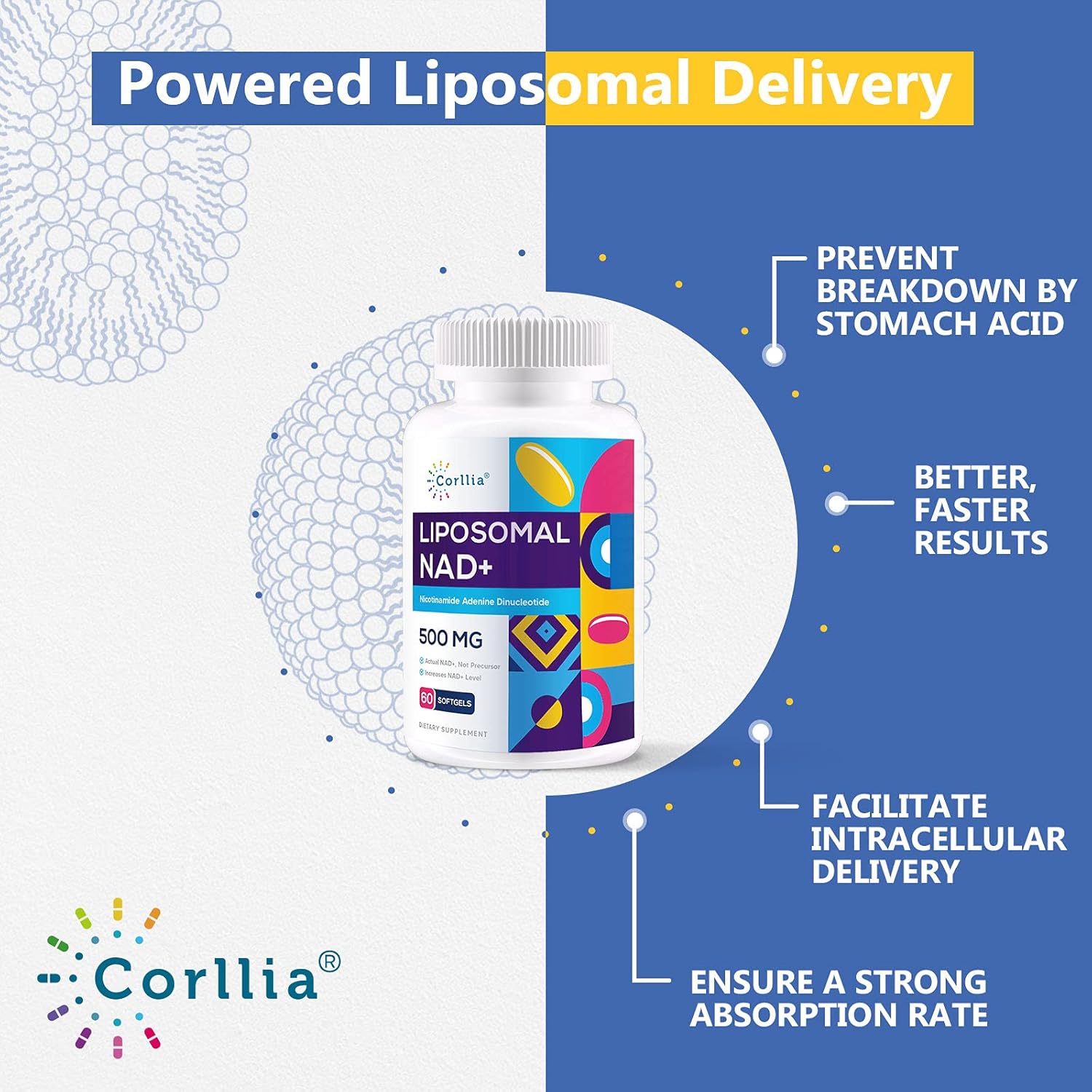 Corllia Liposomal NAD+ Softgels with TMG - 500mg NAD+ + 250mg TMG - 180 Servings - Nicotinamide Riboside Alternative