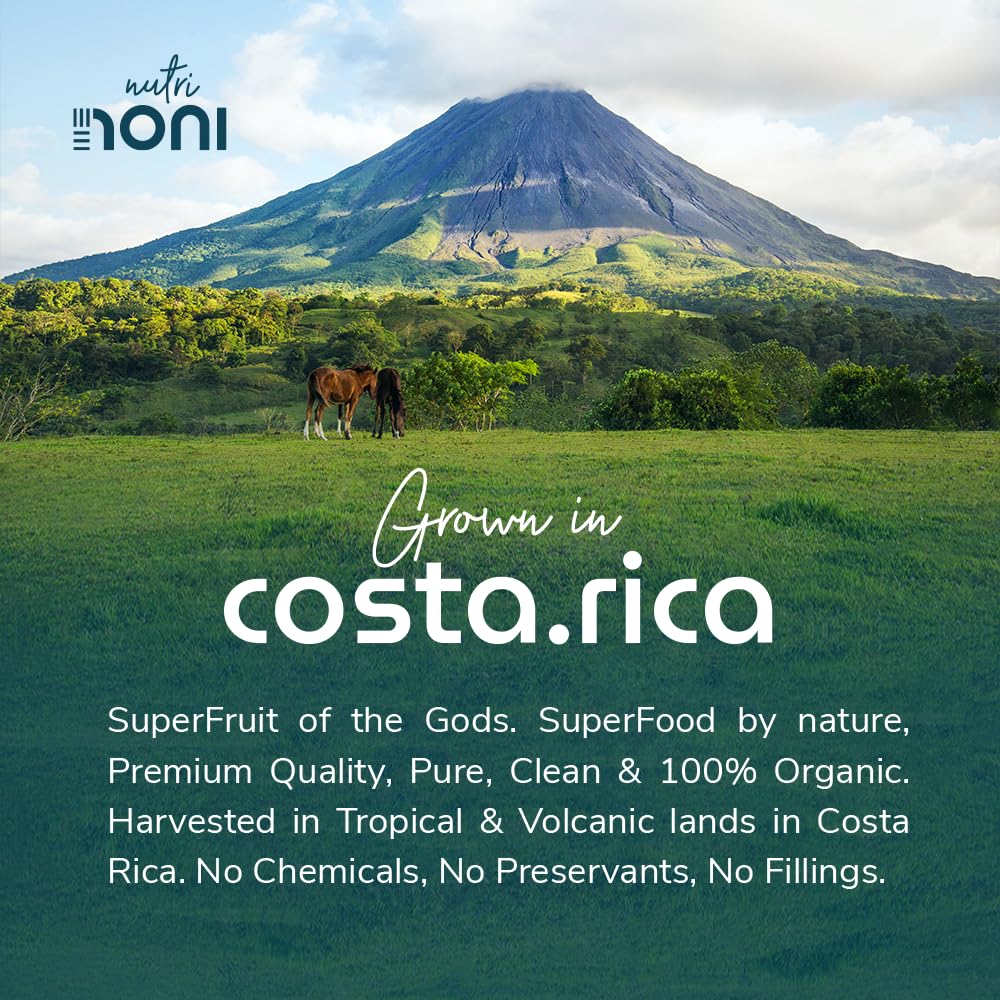 Costa Rican Organic Noni Tea - 100% Pure Broken Leaf, Loose Tea (25 Servings)