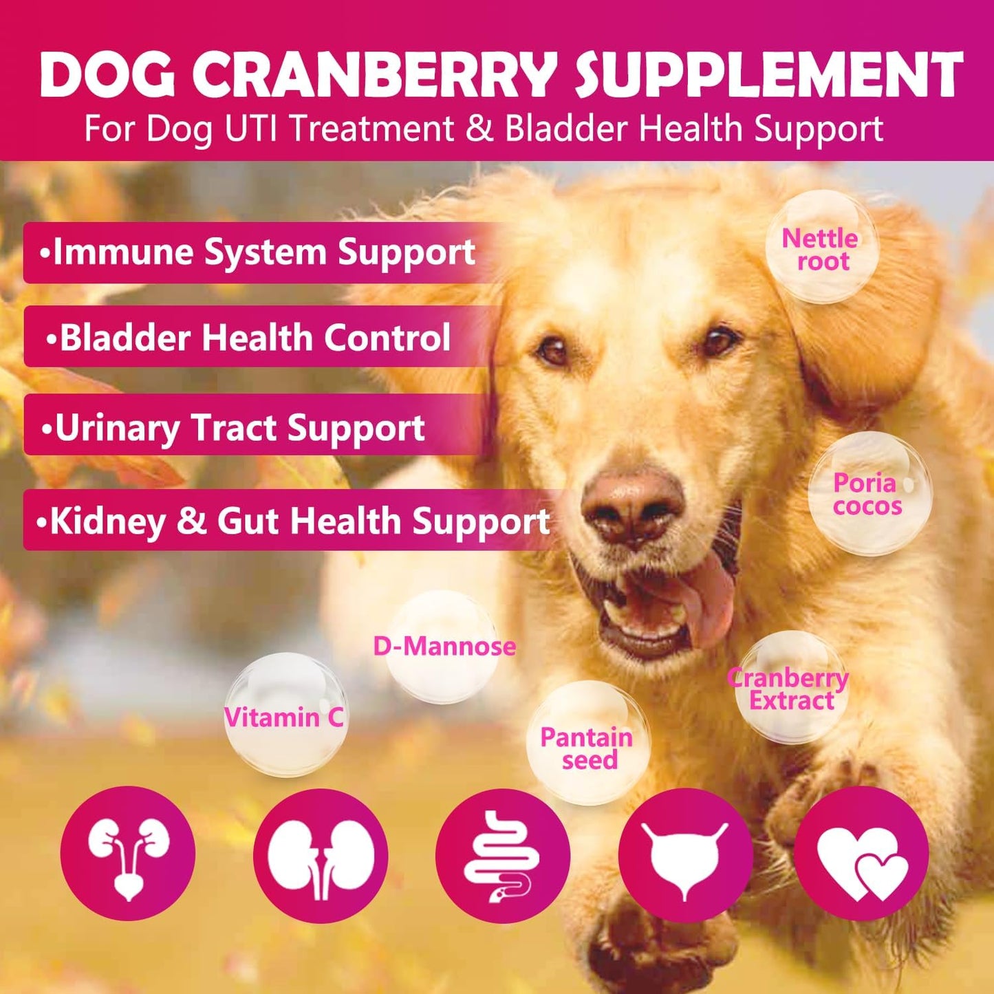 Cranberry Bladder Health Soft Chews for Dogs - 160 Antioxidant Supplements for Urinary Tract Support, with Cranberry, D-Mannose, and Vitamins