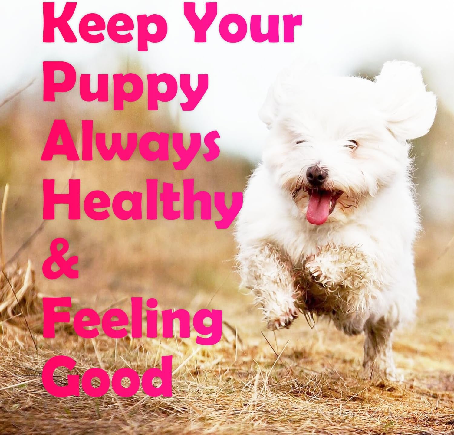 Cranberry Bladder Health Soft Chews for Dogs - 160 Antioxidant Supplements for Urinary Tract Support, with Cranberry, D-Mannose, and Vitamins