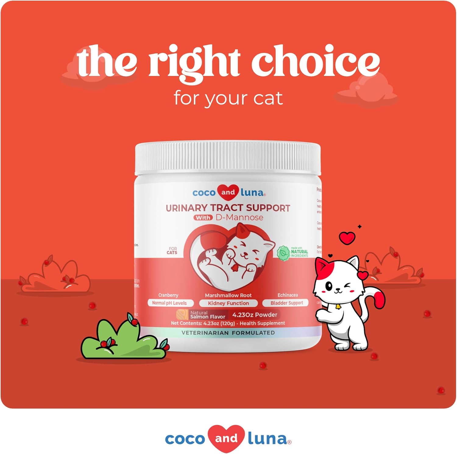 Cranberry Powder for Cats - Incontinence & UTI Support - Bladder Health Supplement, 120g