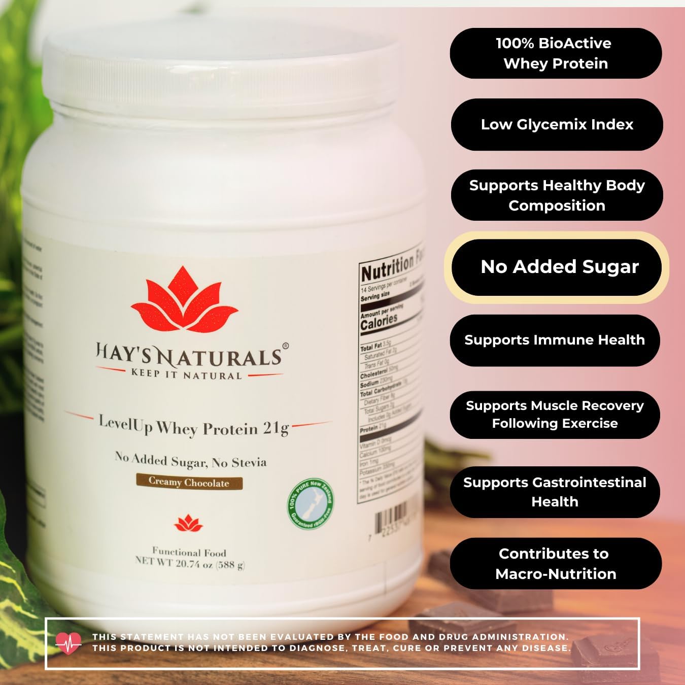 Creamy Chocolate Flavor Whey Protein Powder with 21g Protein - Hay's Naturals LevelUp for Muscle Building and Recovery, No Added Sugar