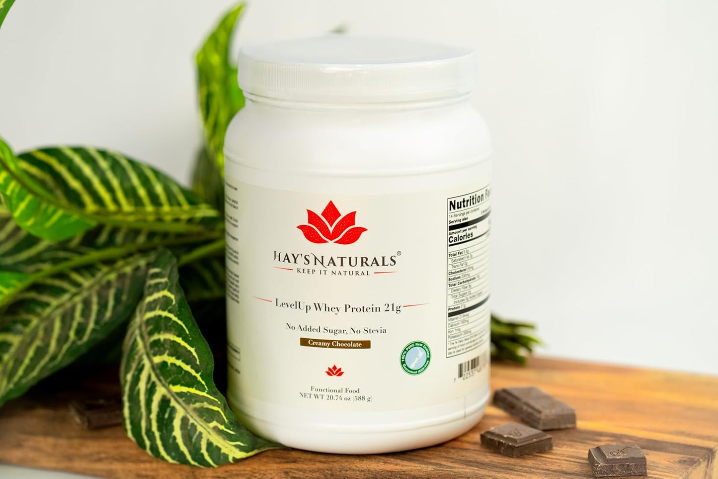 Creamy Chocolate Flavor Whey Protein Powder with 21g Protein - Hay's Naturals LevelUp for Muscle Building and Recovery, No Added Sugar