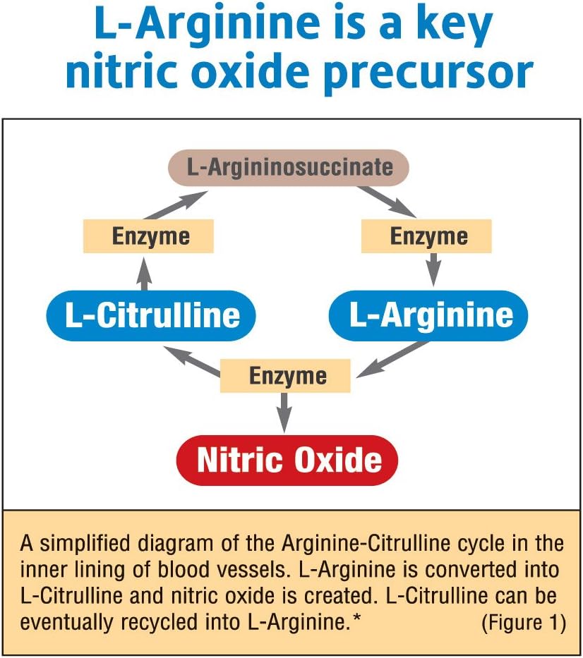 Creatine Pump Capsules with L-Citrulline, L-Arginine, and Creapure - 240 Count