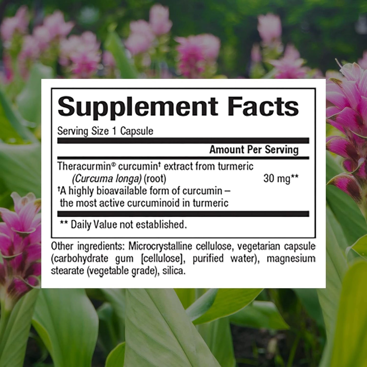 CurcuminRich Theracurmin by Natural Factors - 30mg, 60 Capsules for Enhanced Absorption