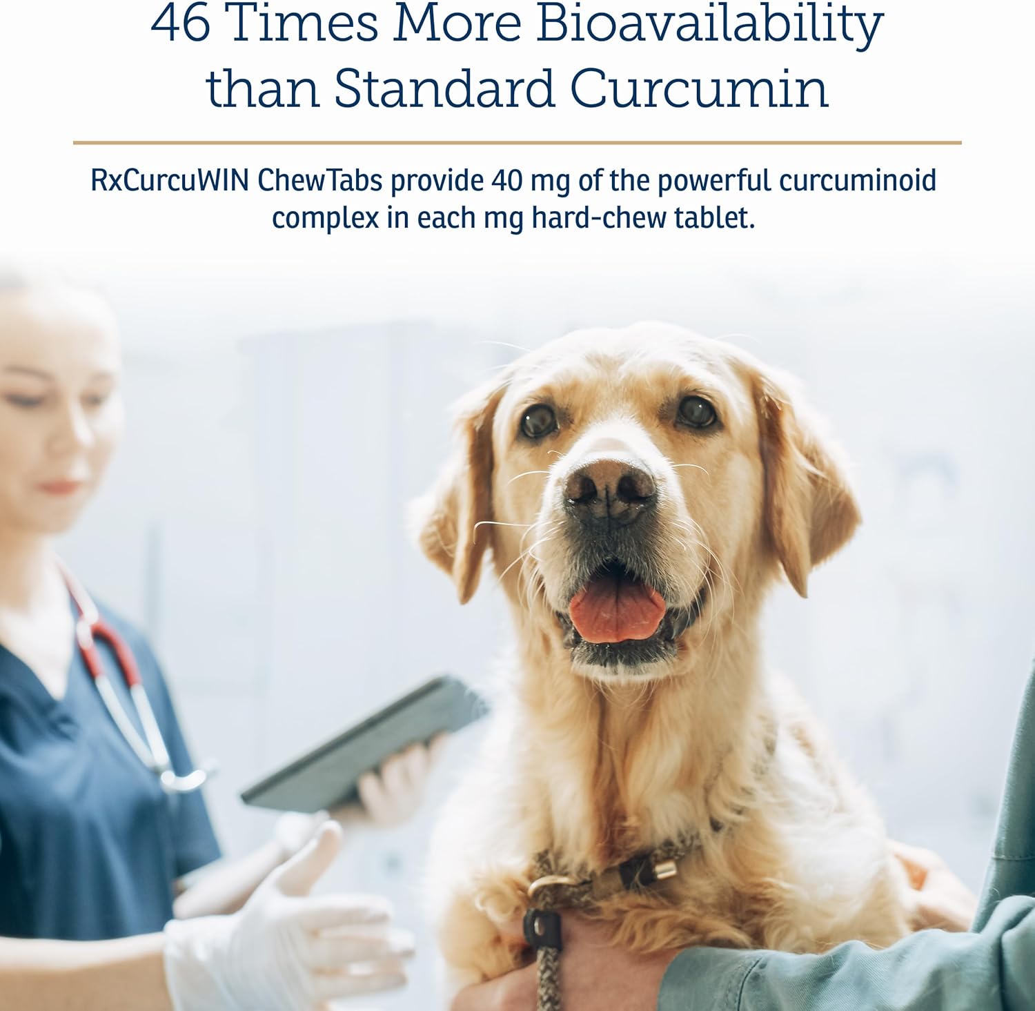 CurcuWIN for Pets - Curcumin Supplement for Cats and Dogs - Immune and Digestive Support - Joint Health - 90ct