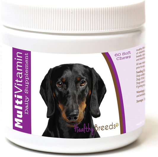Dachshund Multi-Vitamin Soft Chews - 60 Count for Health and Wellness