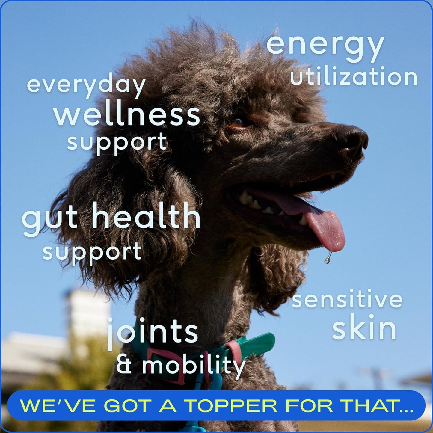 Daily Dog Multivitamin and Omega Oil Bundle for Dogs - Native Pet Pack Leaders (7 oz. & 8 oz.)