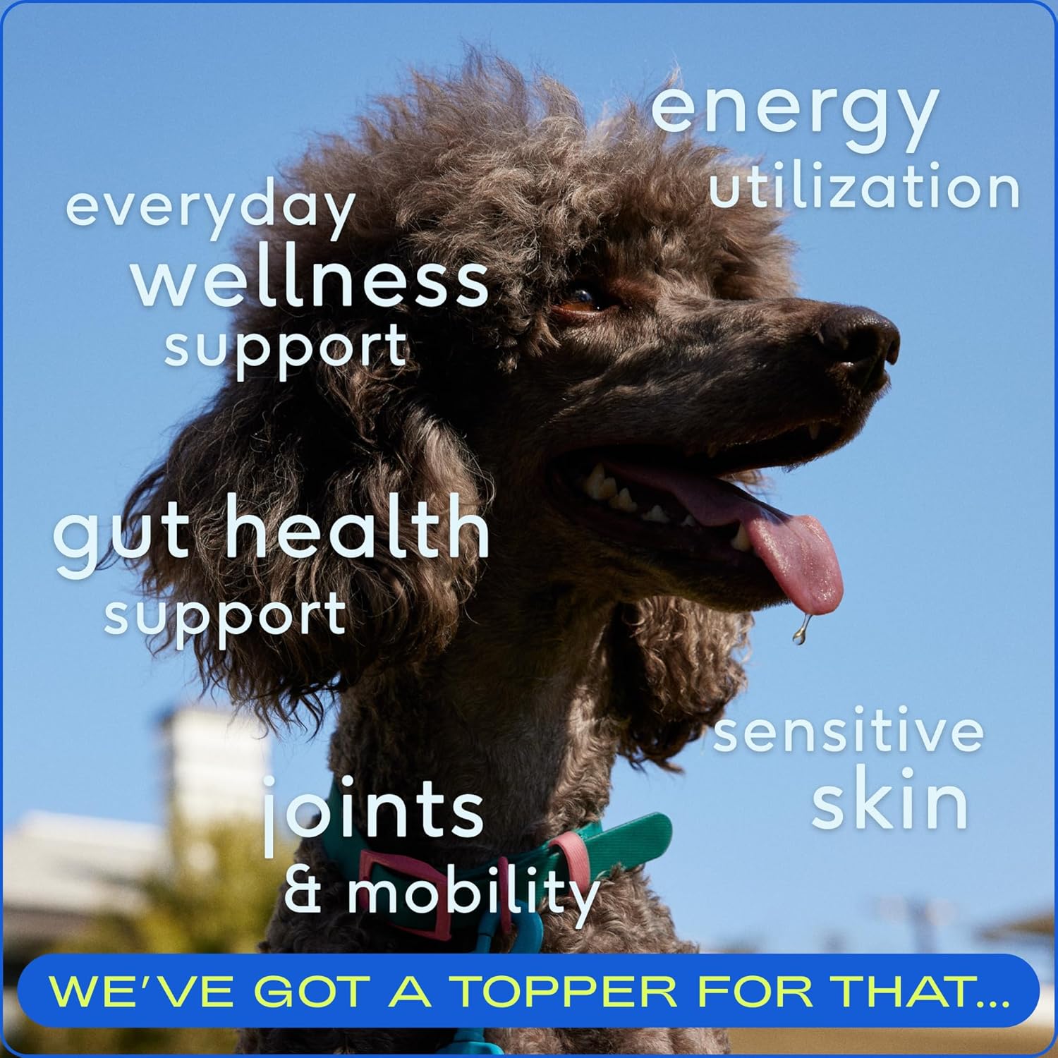 Daily Dog Multivitamin and Omega Oil Bundle for Dogs - Native Pet Pack Leaders (7 oz. & 8 oz.)