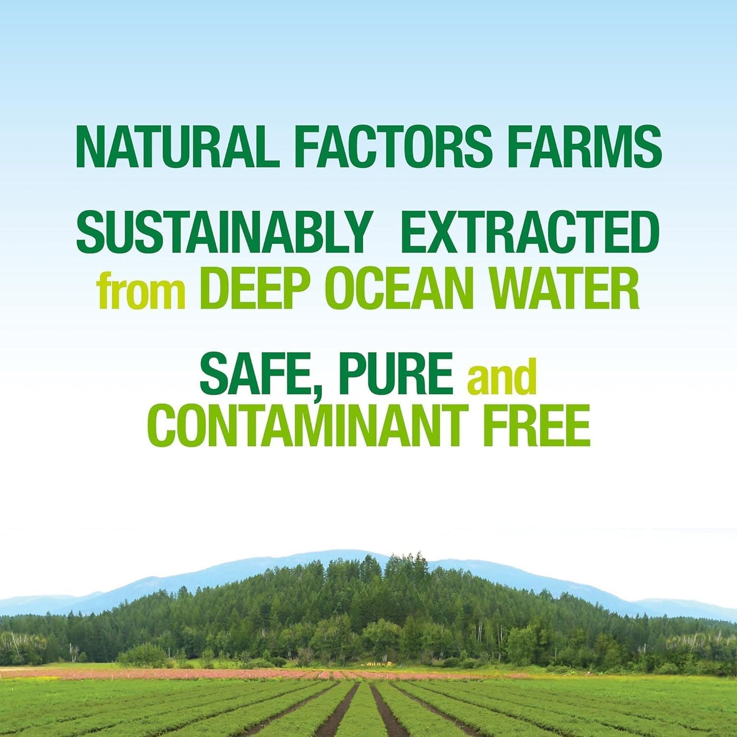 Deep Ocean Minerals - Natural Factors Whole Earth & Sea - 3.38 oz Bottle