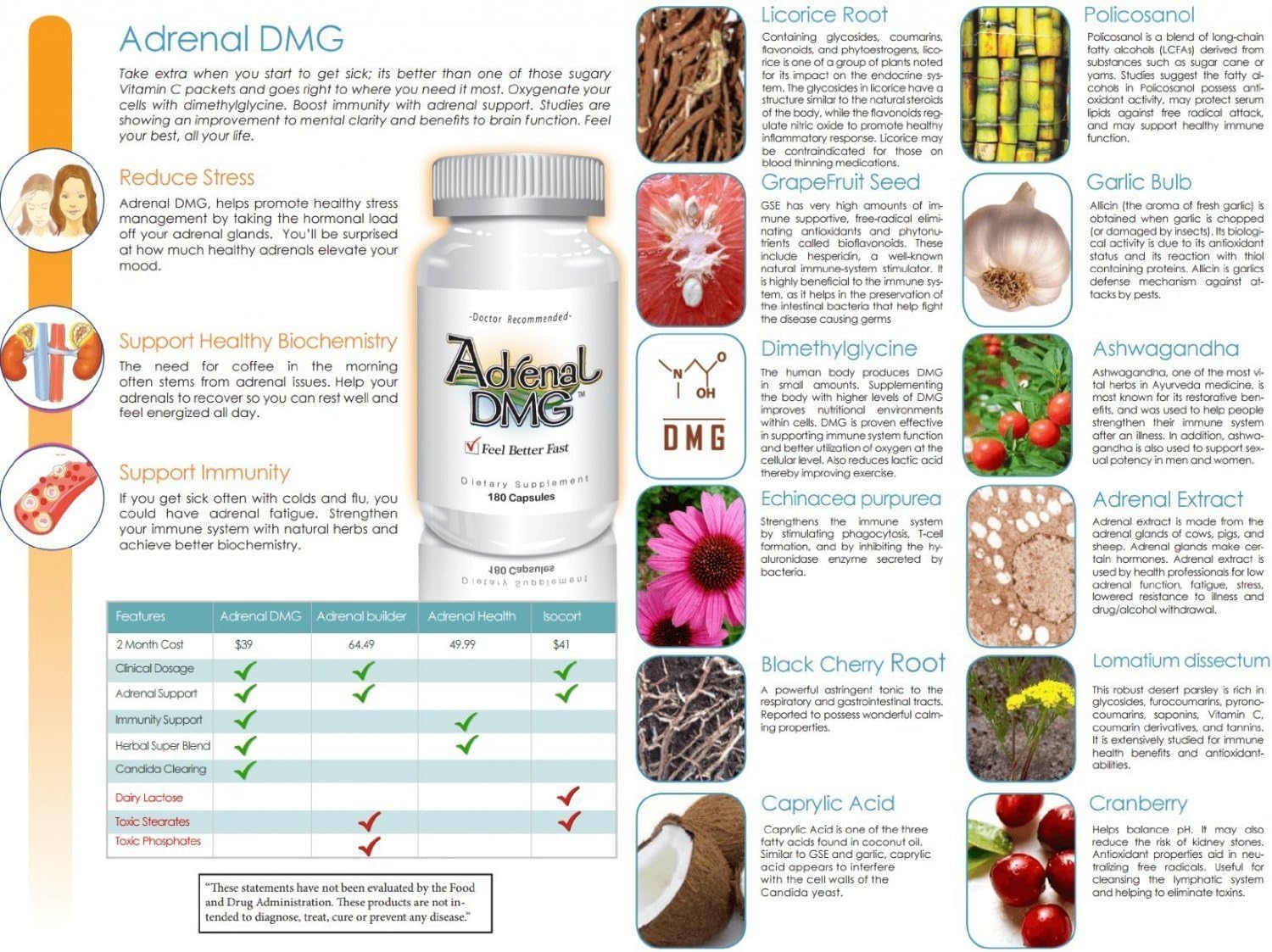 Delgado Protocol Adrenal DMG - 180 Capsules - Support Daytime Energy, Better Sleep, Immune System, Reduce Stress Levels, and Fatigue - All Natural Supplement