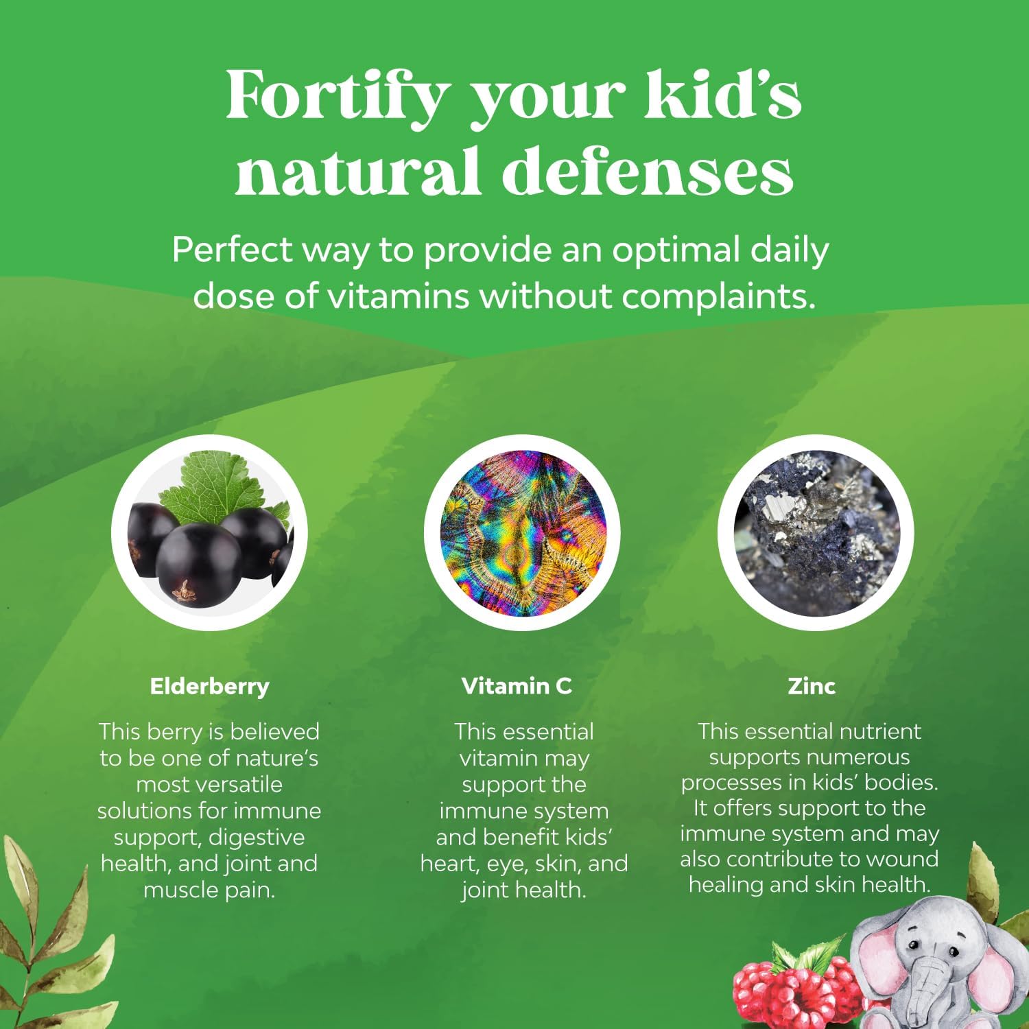 Delicious Elderberry Gummies for Kids with Zinc and Vitamin C - Vegan Immune Support for Children - Gluten-Free and Non-GMO - BoostGo Australia
