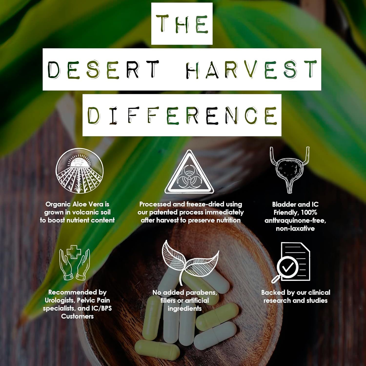 Desert Harvest Buffered Vitamin C Capsules with Aloe Vera - Antioxidant, Immune, and IC Support - 90 Count - BoostGo Australia