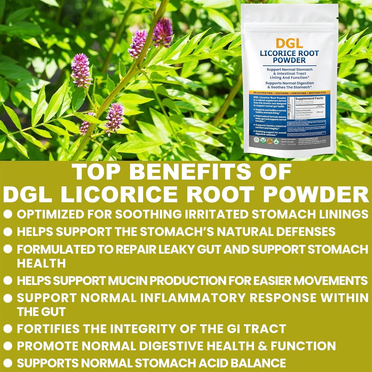 DGL Licorice Root Extract Powder: Stomach Relief & Digestive Restoration Supplement for Acid & Leaky Gut Repair - 140 Servings