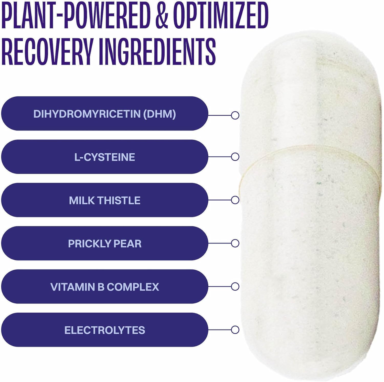 DHM Detox Supplement, No Days Wasted, 30 Servings - Enhance Next Day Recovery by Taking in the Evening