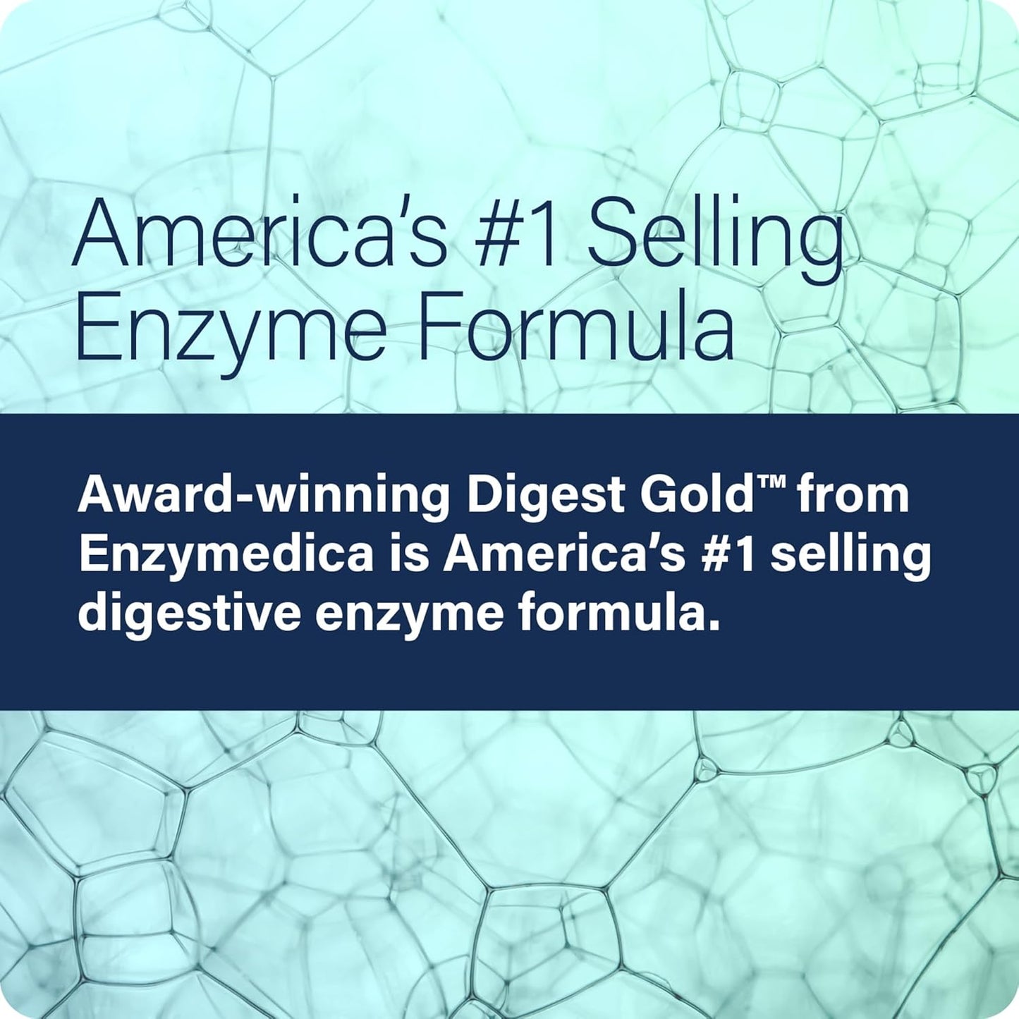 Digest Gold Enzyme Supplement - 240 Capsules, Vegan Formula with Amylase, Lipase, and Protease for Improved Digestion