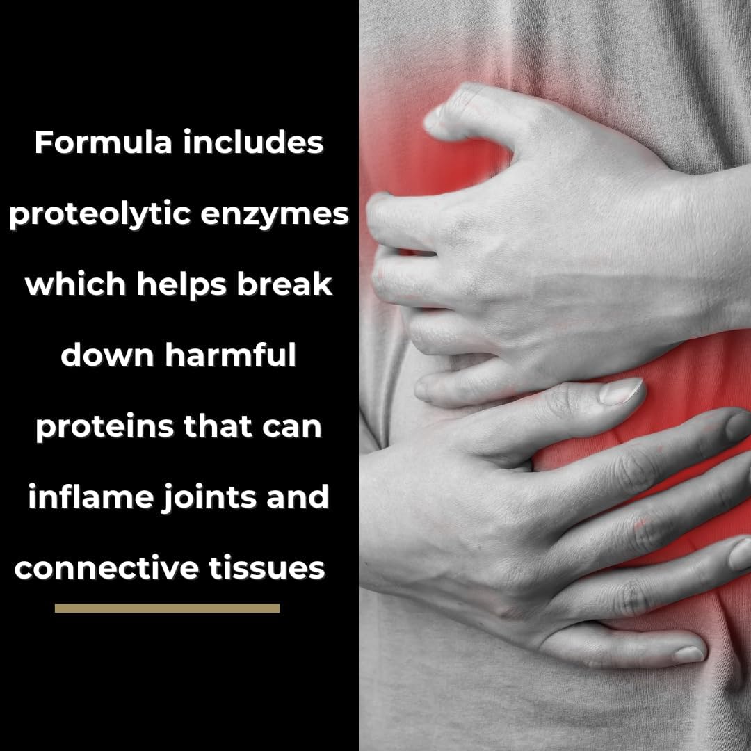 Digest Zone Enzymes: Supports Digestion of Proteins, Fats, Carbohydrates, Circulation, and Body's Repair Processes