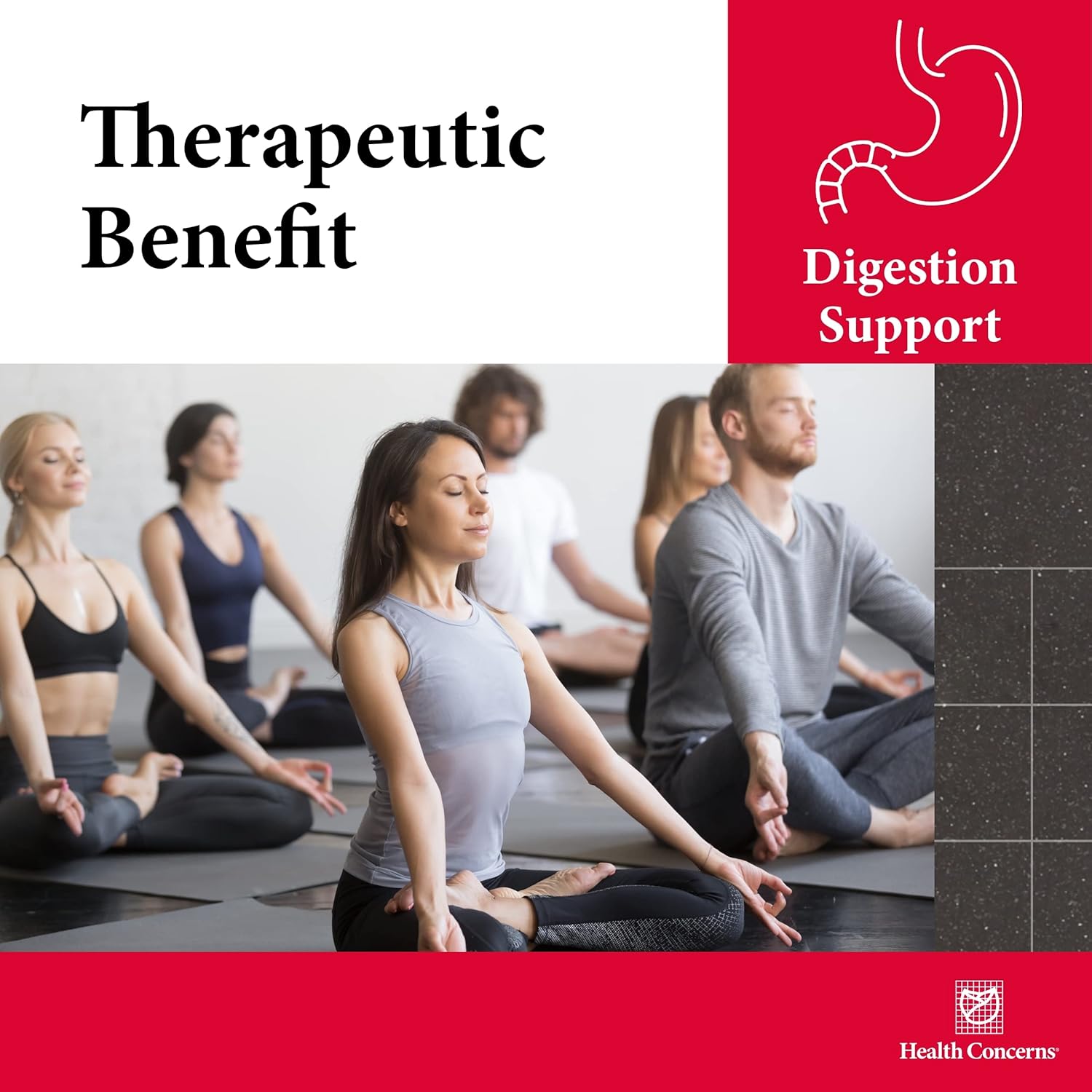 Digestion Support Capsules - Herbal Supplement for Stomach Health - 90 Capsules