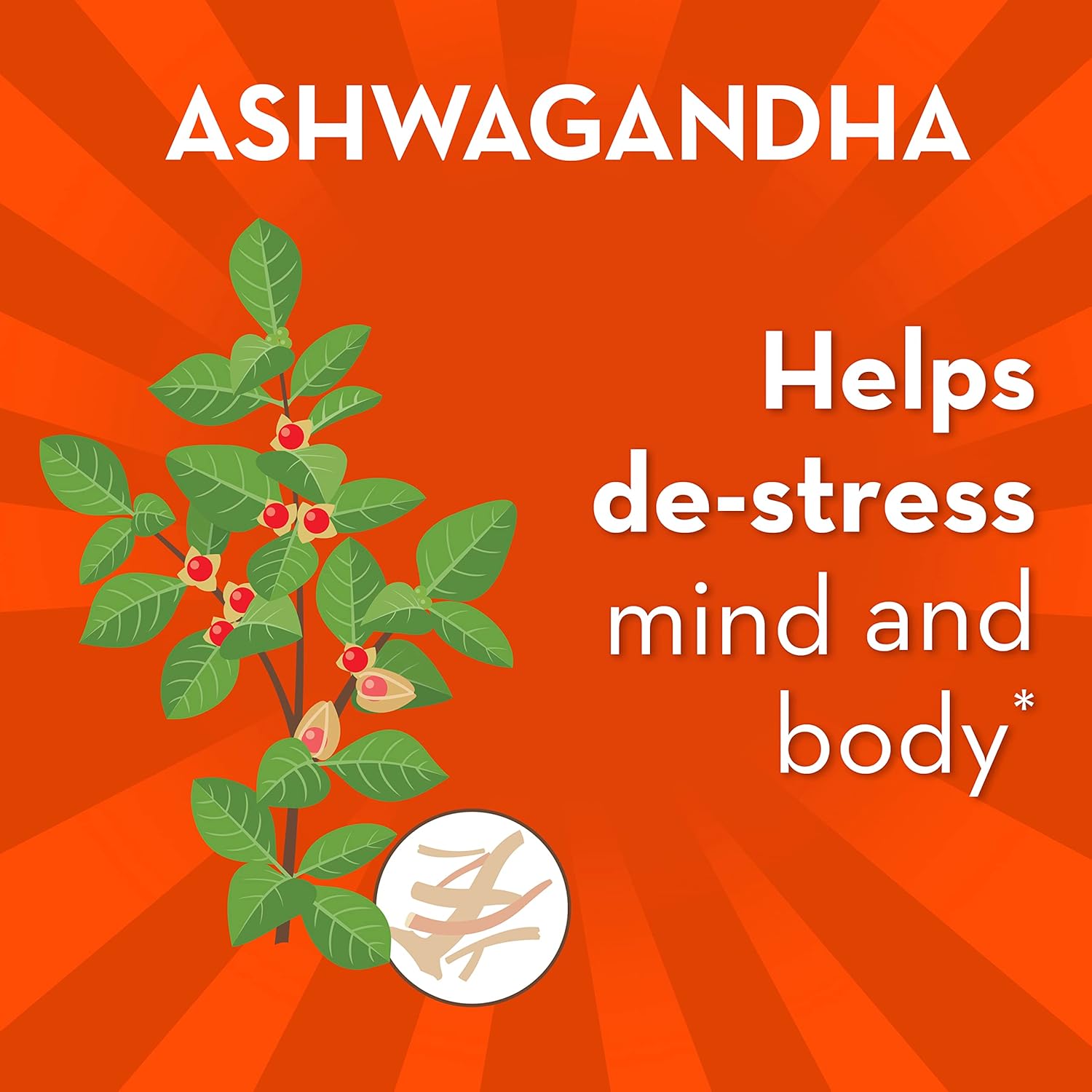 Digestive De-Stress Probiotic with Ashwagandha for Men and Women, Gluten-Free, Soy-Free, Vegetarian - 42 Capsules