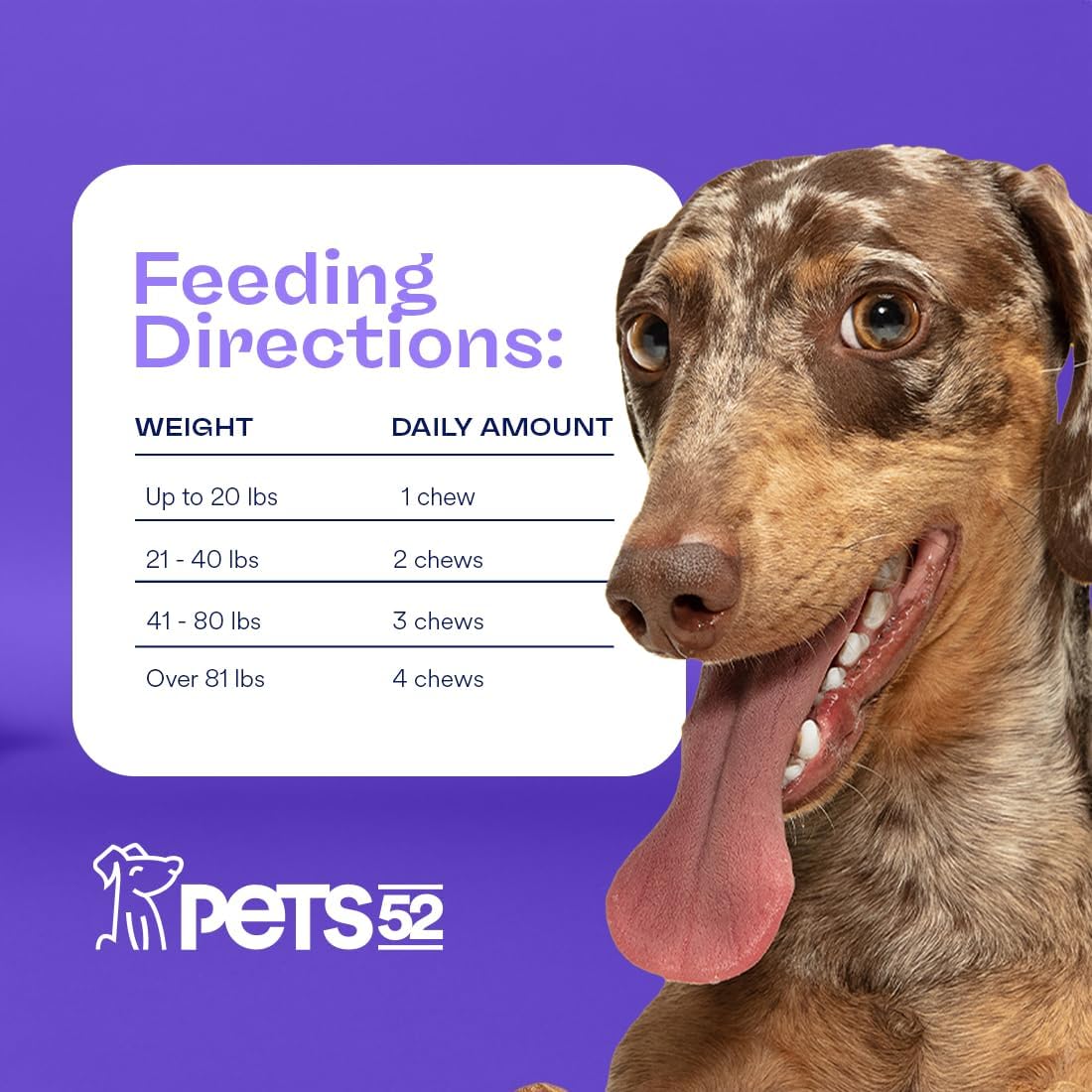Digestive Dog Probiotics with Enzymes for Healthy Gut Flora - Immune Support - Stomach Comfort - Vet-Strength Formula - 30-Day Results