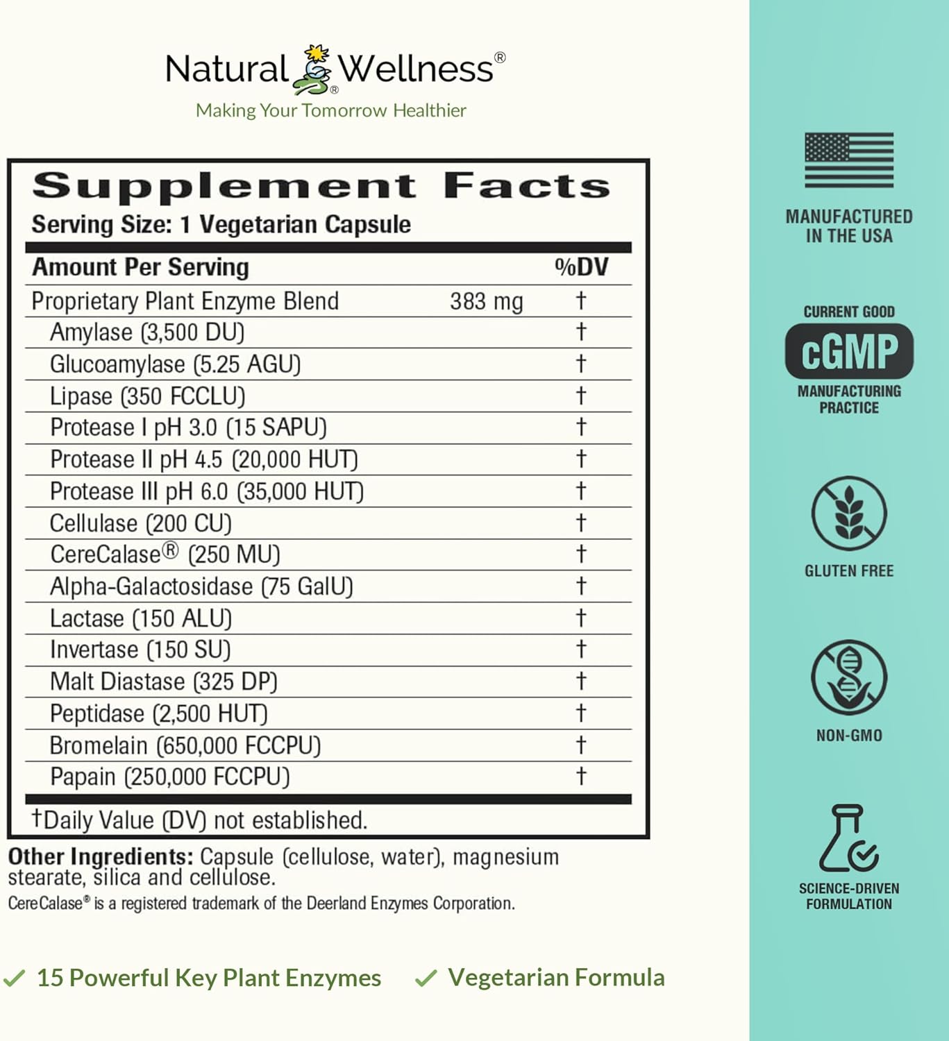 Digestive Enzyme Supplement for Healthy Digestion and Nutrient Absorption - 60 Capsules - BoostGo Australia