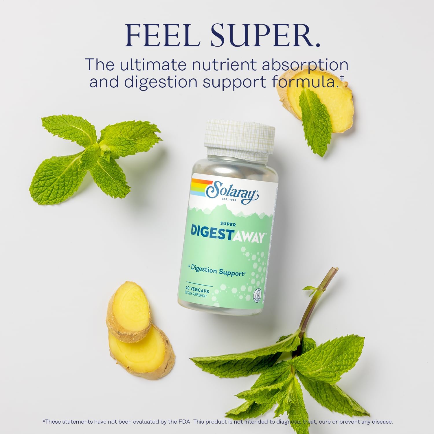 Digestive Enzymes Supplement with Pancreatin, Papain, Ginger, Betaine HCl, Aloe Vera - Supports Digestion & Nutrient Absorption - 60 VegCaps