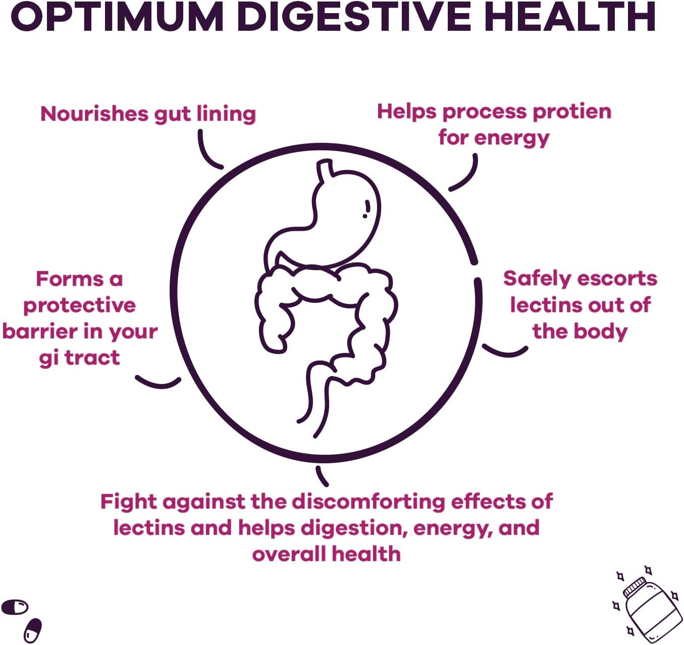 Digestive Enzymes Supplement with Prebiotics and Probiotics - Supports Gut Health, Gluten and Lactose Digestion - Plant Based Pills for Men and Women - 60 Capsules