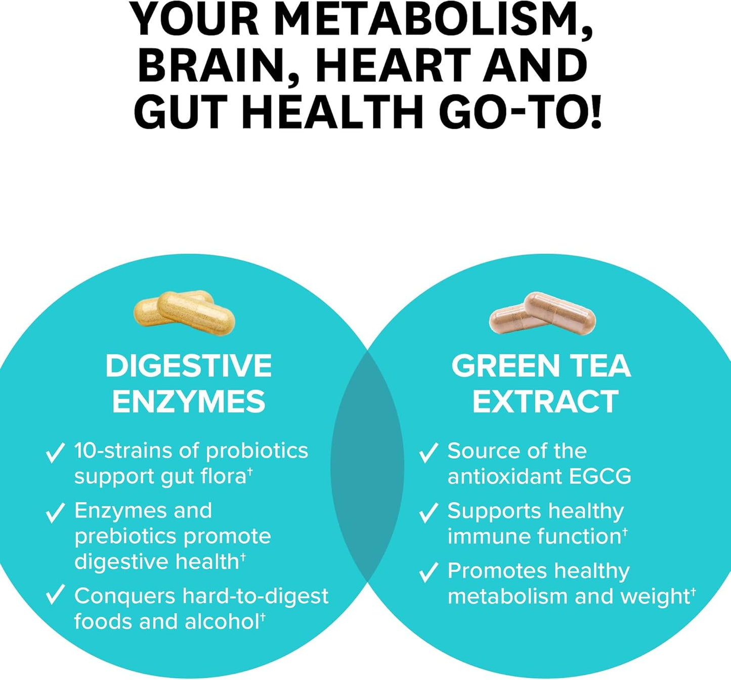 Digestive Enzymes with Green Tea Extract in Portable Tin for Gut Health