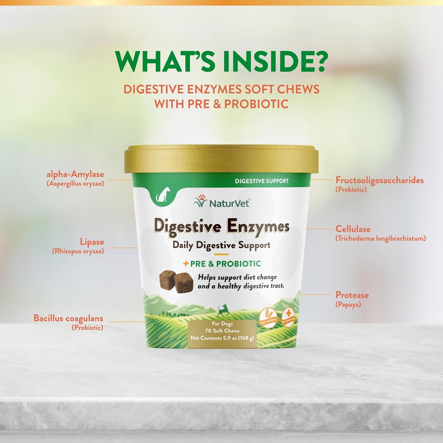 Digestive Enzymes with Probiotics and Prebiotics for Dogs and Cats - Supports Healthy Digestion and Diet Transition - 70 Soft Chews