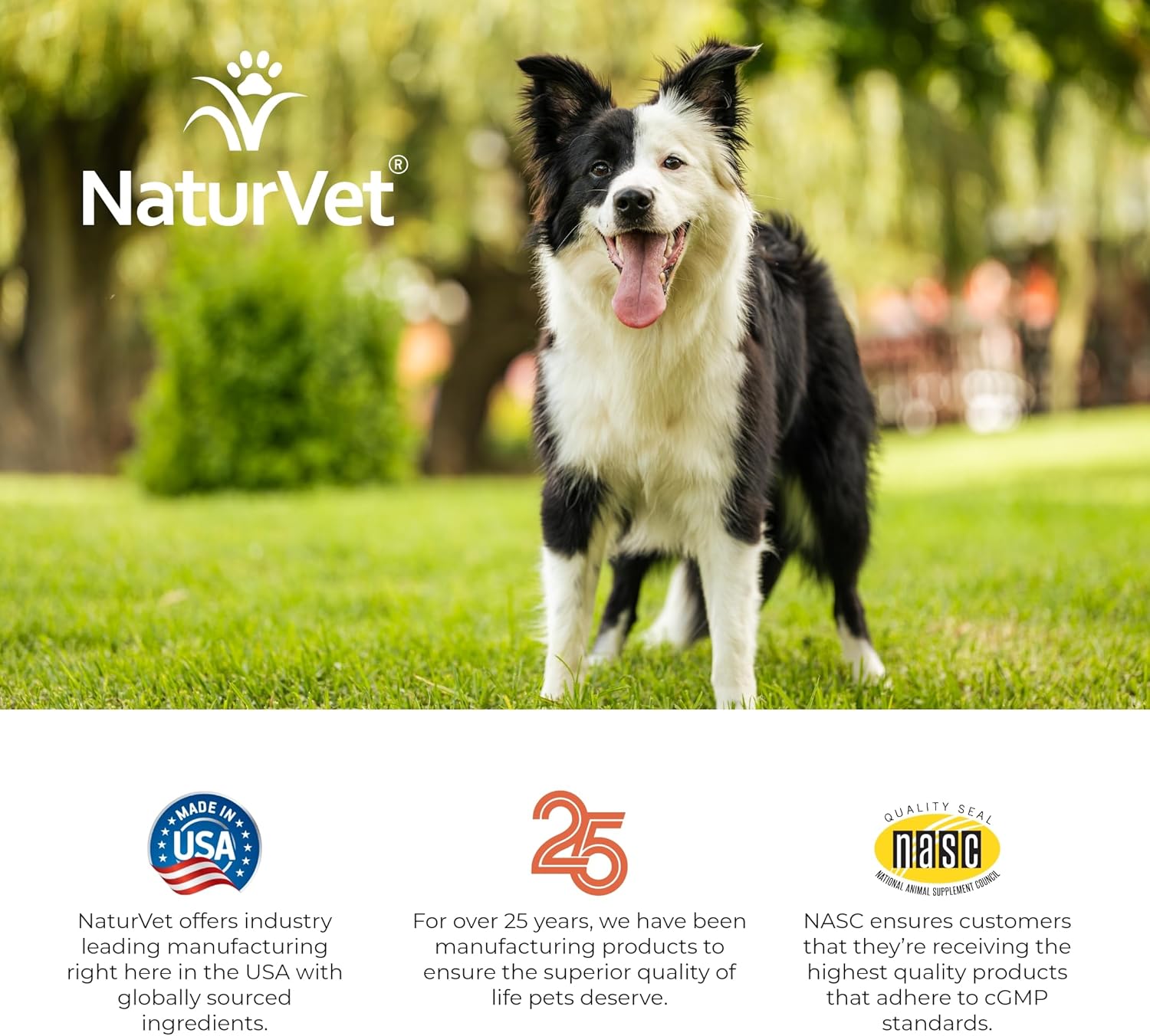 Digestive Enzymes with Probiotics and Prebiotics for Dogs and Cats - Supports Healthy Digestion and Diet Transition - 70 Soft Chews
