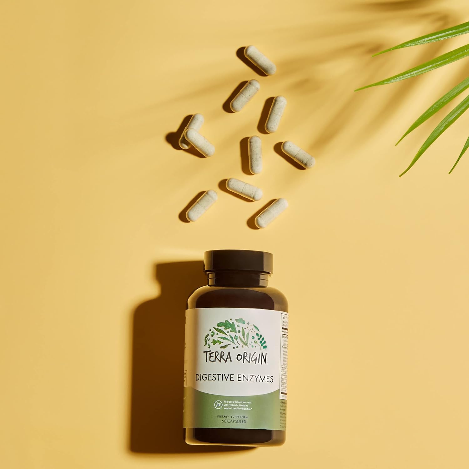 Digestive Enzymes with Probiotics for Healthy Digestion - 60 Servings, Gluten-Free, Made in USA