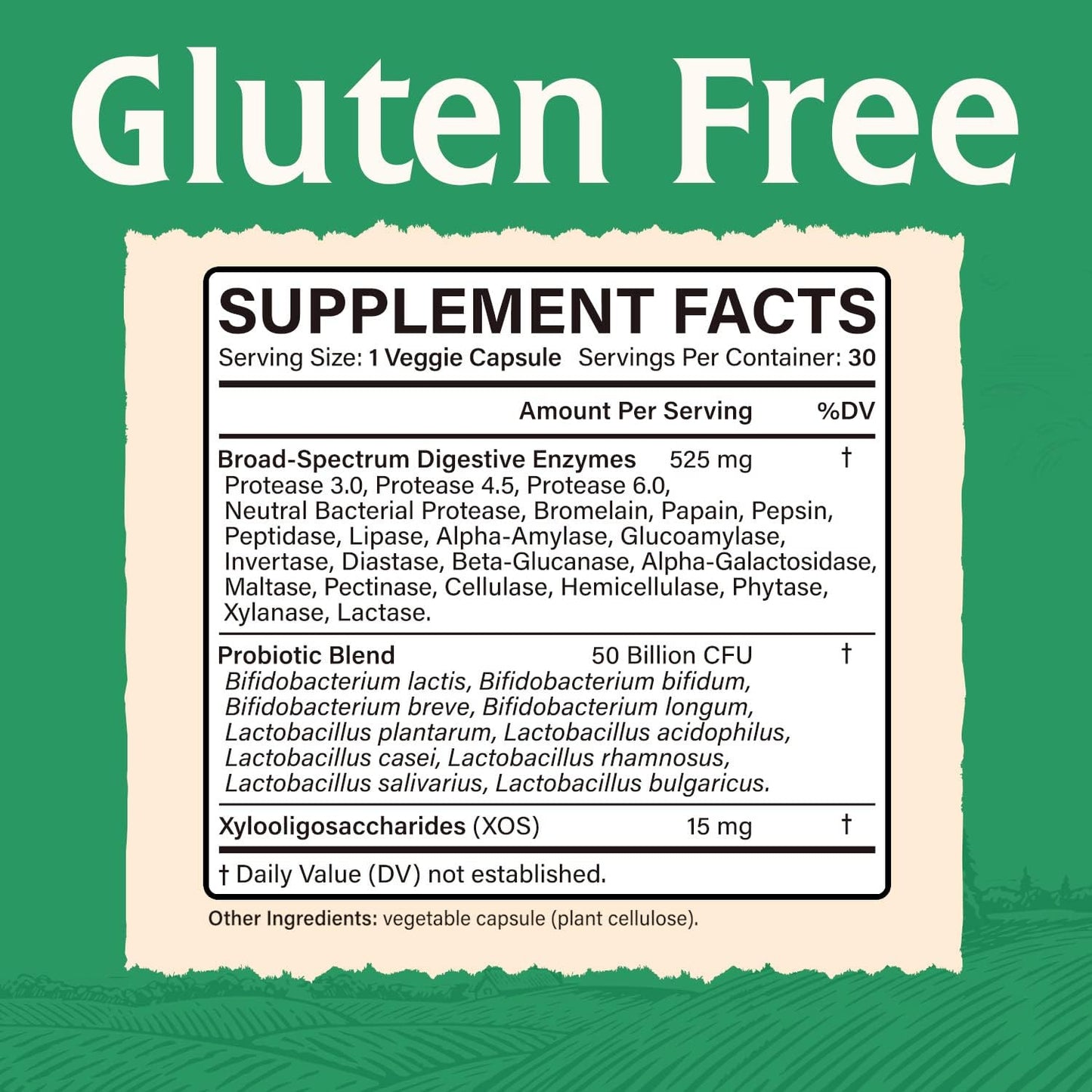 Digestive Enzymes with Probiotics & Prebiotics - Maximum Strength, 30 Capsules, Vegan & Non-GMO - Elixeed