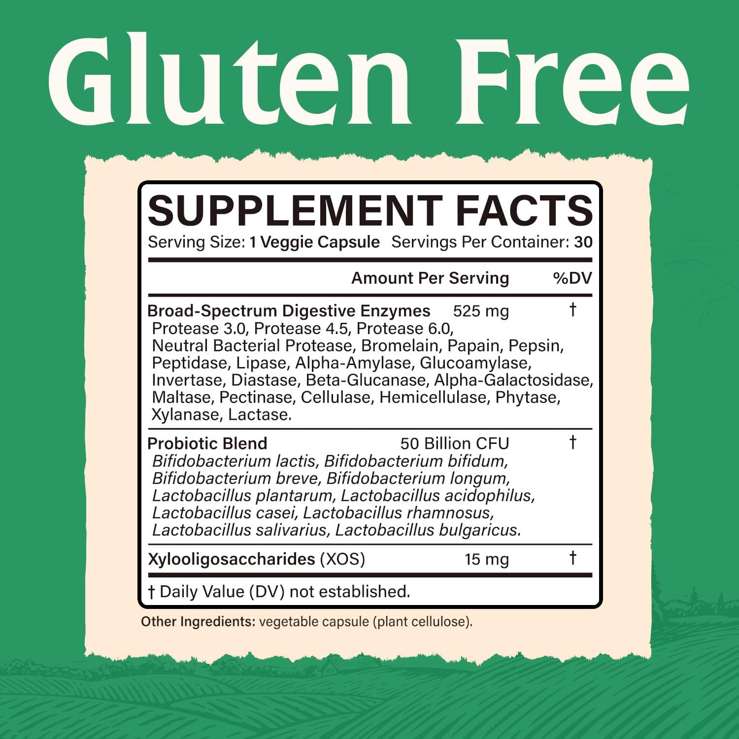 Digestive Enzymes with Probiotics & Prebiotics - Maximum Strength, 30 Capsules, Vegan & Non-GMO - Elixeed