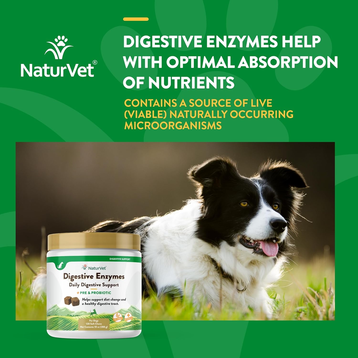Digestive Enzymes with Probiotics & Prebiotics for Dogs & Cats (Soft Chews, 120 Count) - Supports Healthy Digestion & Diet Transition