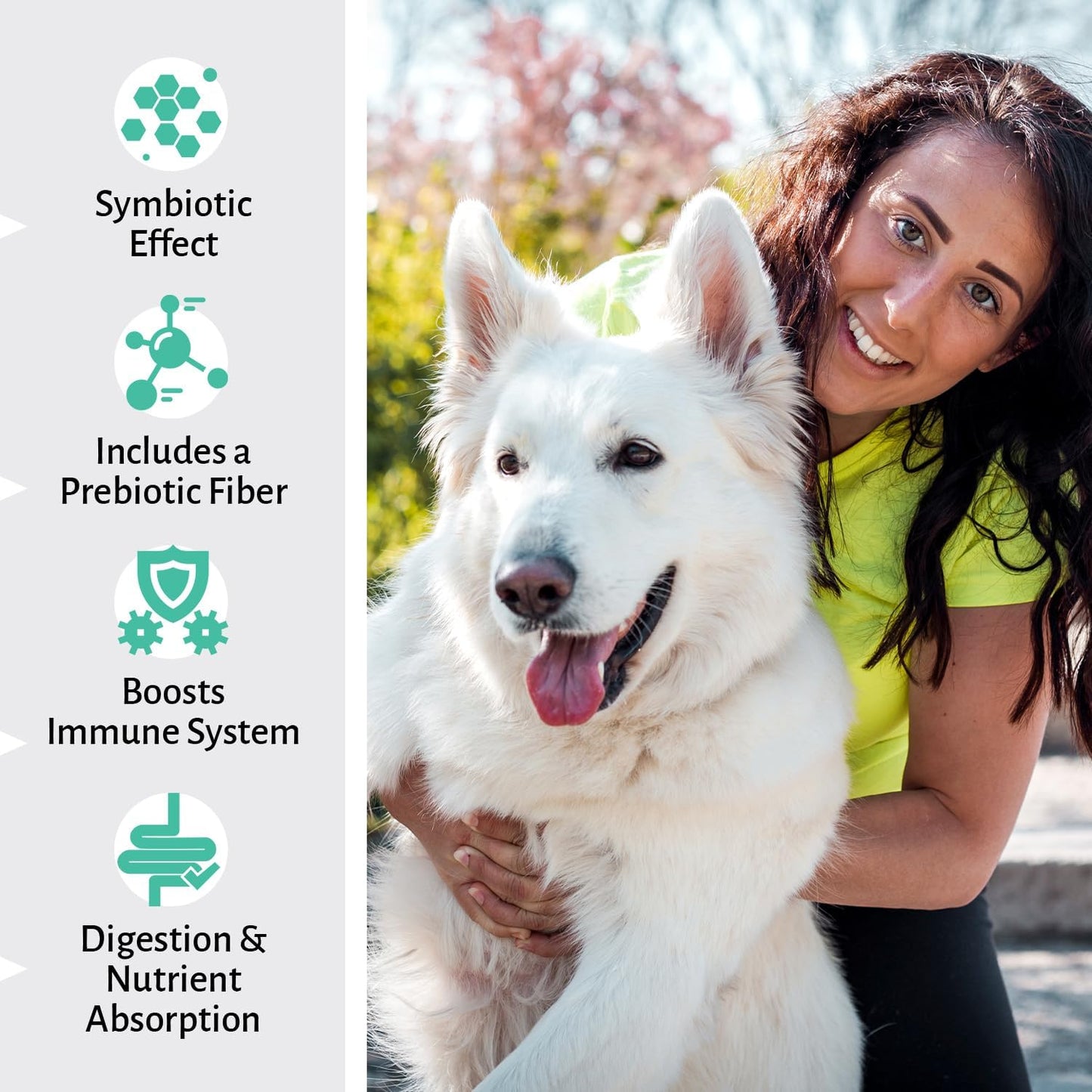 Digestive Health Boost for Dogs - Probiotic Chews with 6 Strains, 120 Count - Made in USA - Supports Gut Health, Diarrhea, Itching
